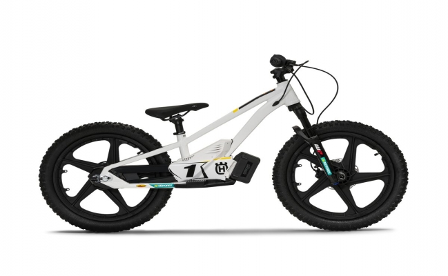 HUSQVARNA EE 1.20 2023