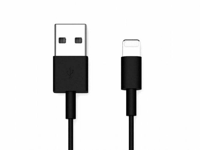 Cable USB vers Lightning QUAD LOCK - 20 cm