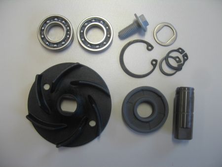 water pump rep  kit 09 12