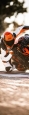 pho_ktm_ds_nmon_kra3419204_icu